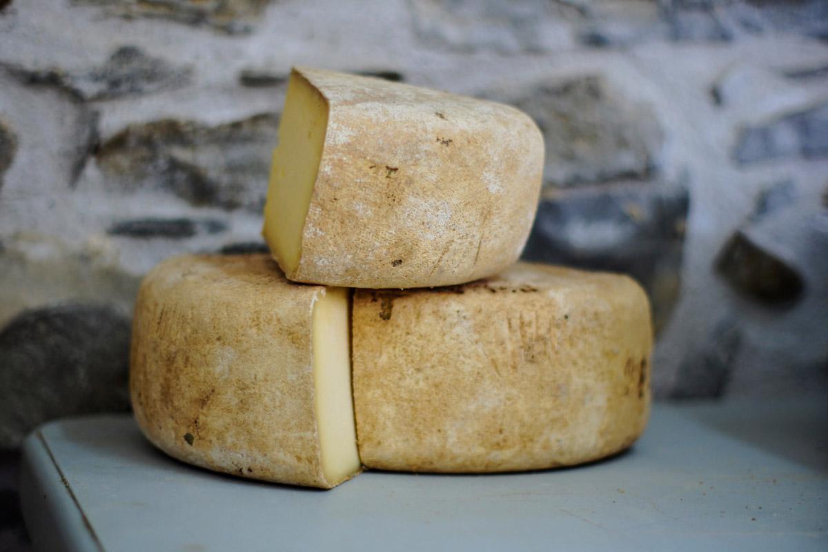 Puđa će u Čaporicama proizvoditi pet vrsta sira s ljekovitim biljem